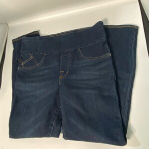 Rock & Republic Deep Indigo Women's Jeggings